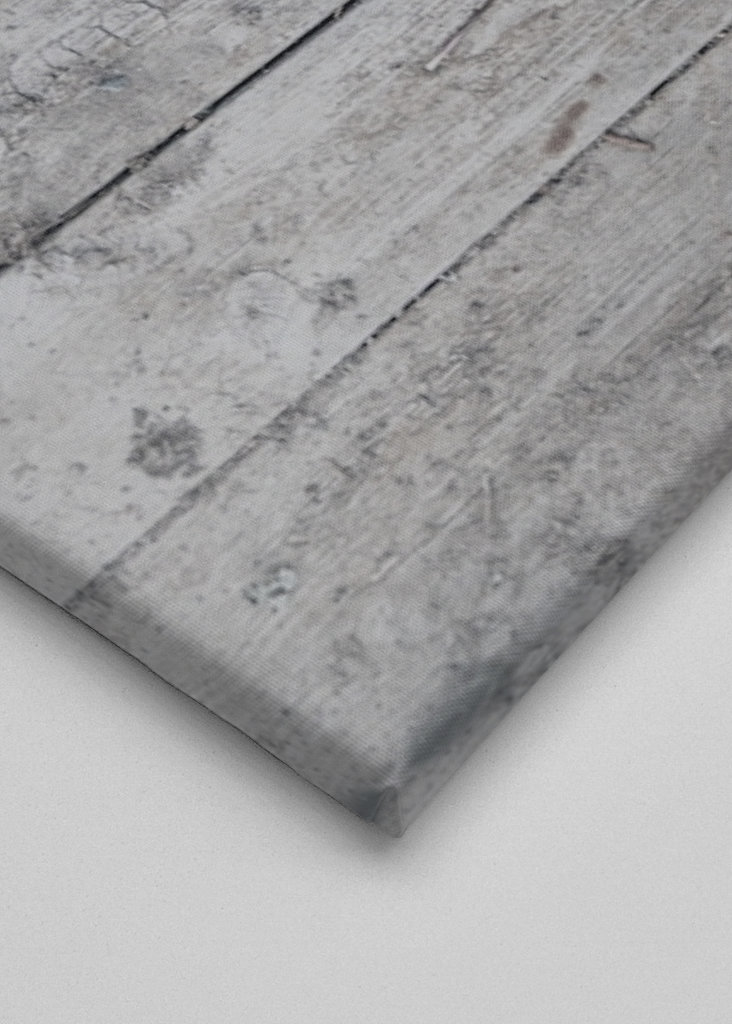 Die Elster und die weißen Otter