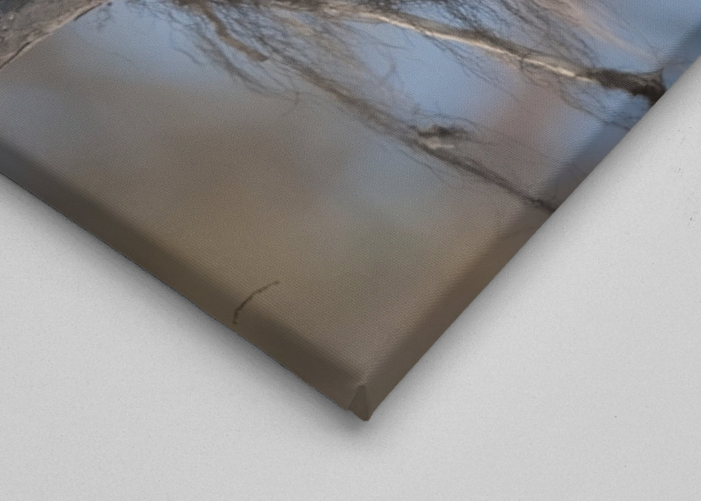 Mésangeai imitateur