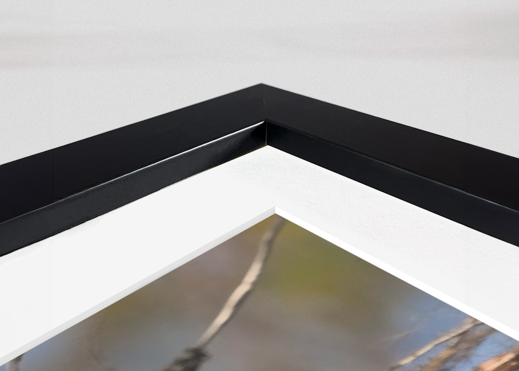 Mésangeai imitateur