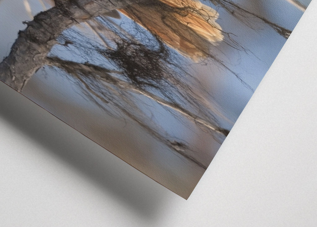 Mésangeai imitateur