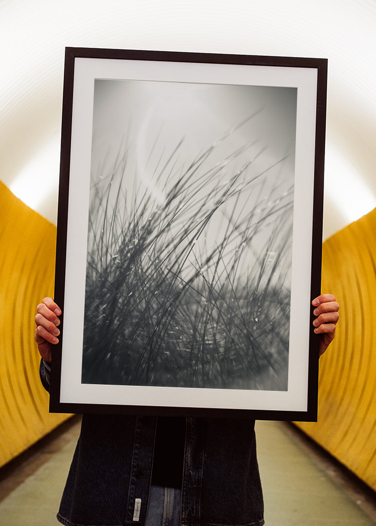 The sunbathing grass..