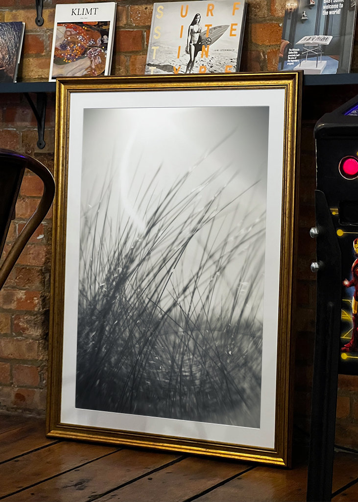 The sunbathing grass..