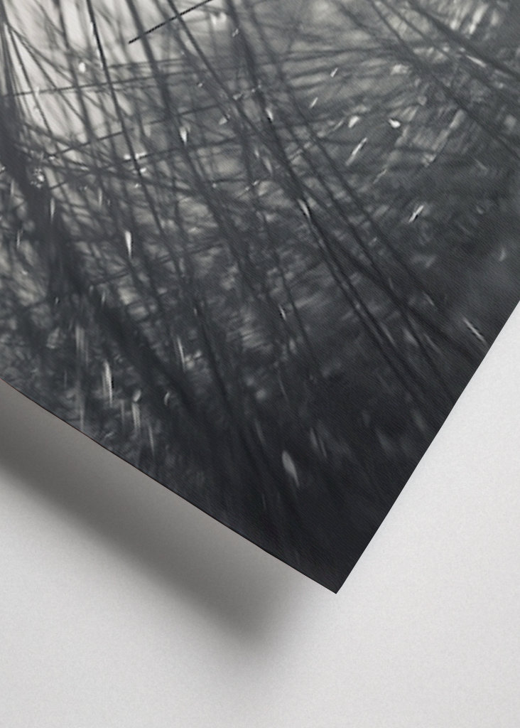 The sunbathing grass..