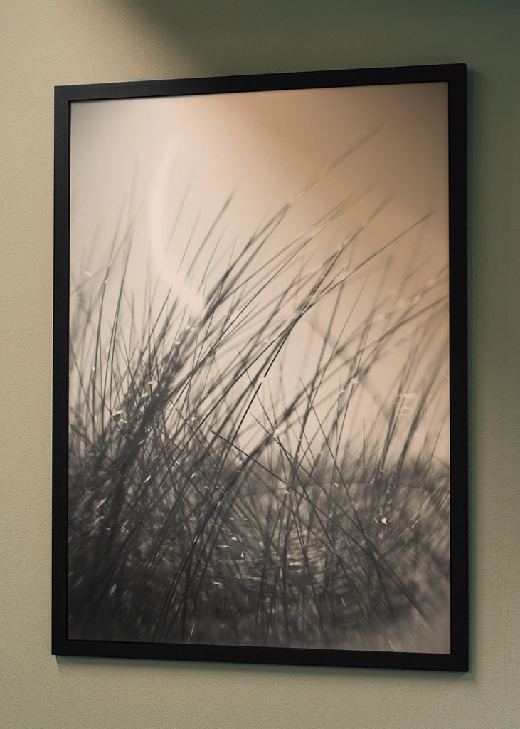 The sunbathing grass..