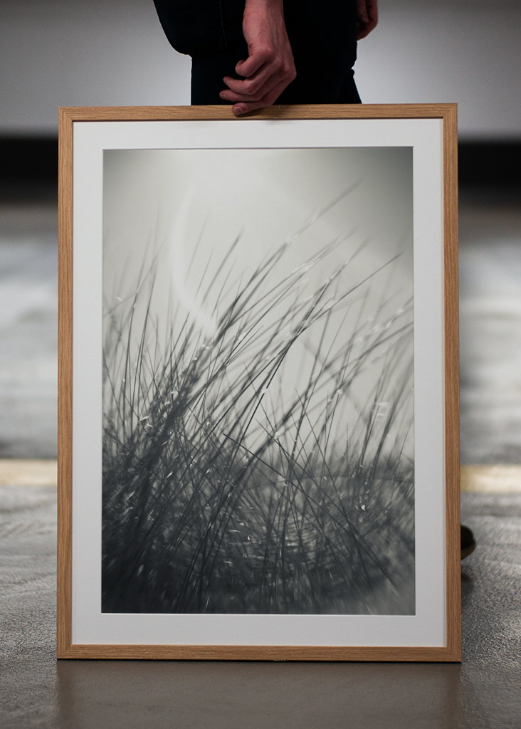 The sunbathing grass..