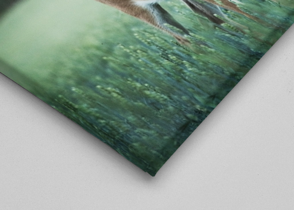 Freundliche Begegnung