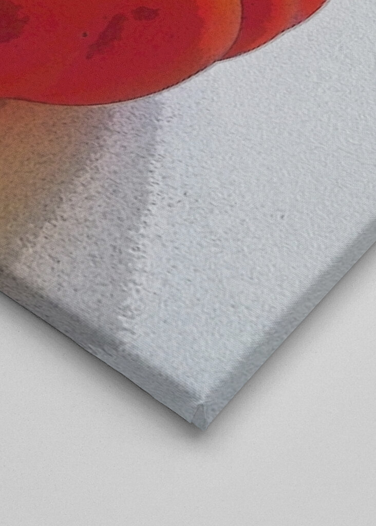 Tomaatin vilunväristykset 2