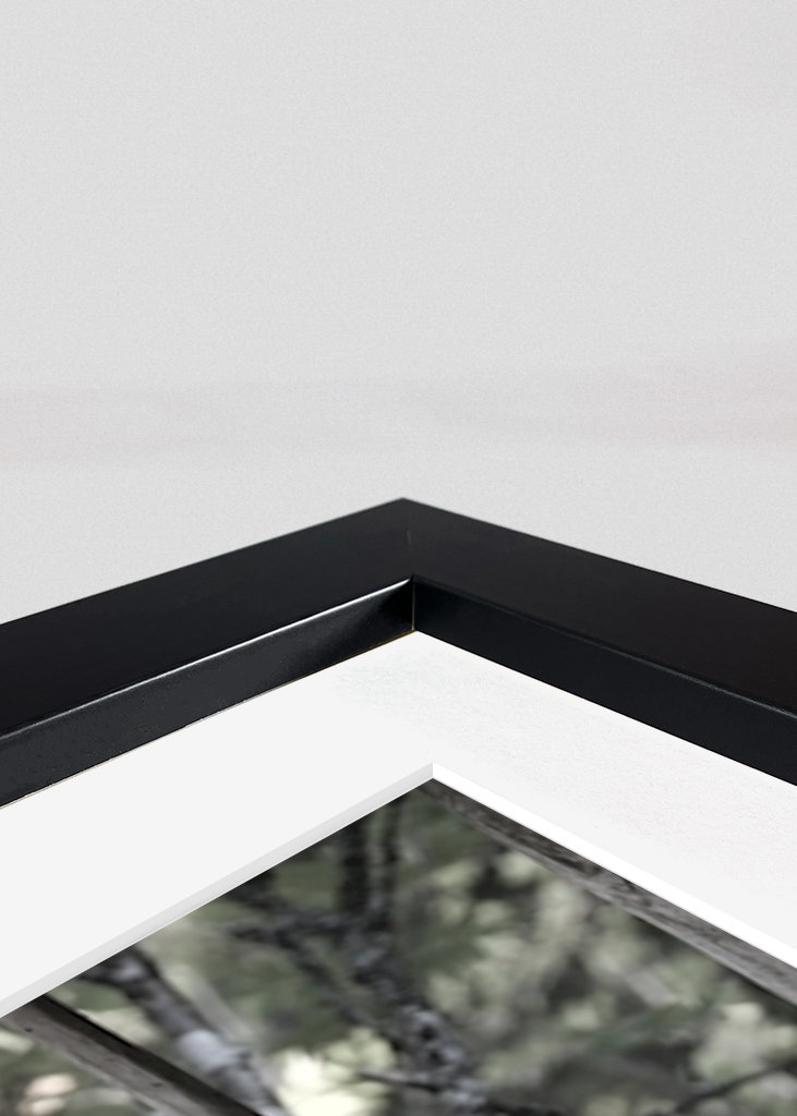 Gamle fiskeredskaber