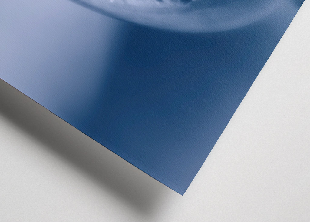 winter landscape in a bubble