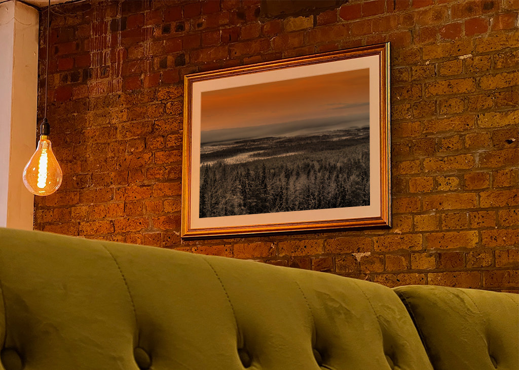 Zimní lesní krajina