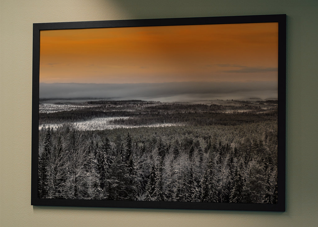 Zimní lesní krajina