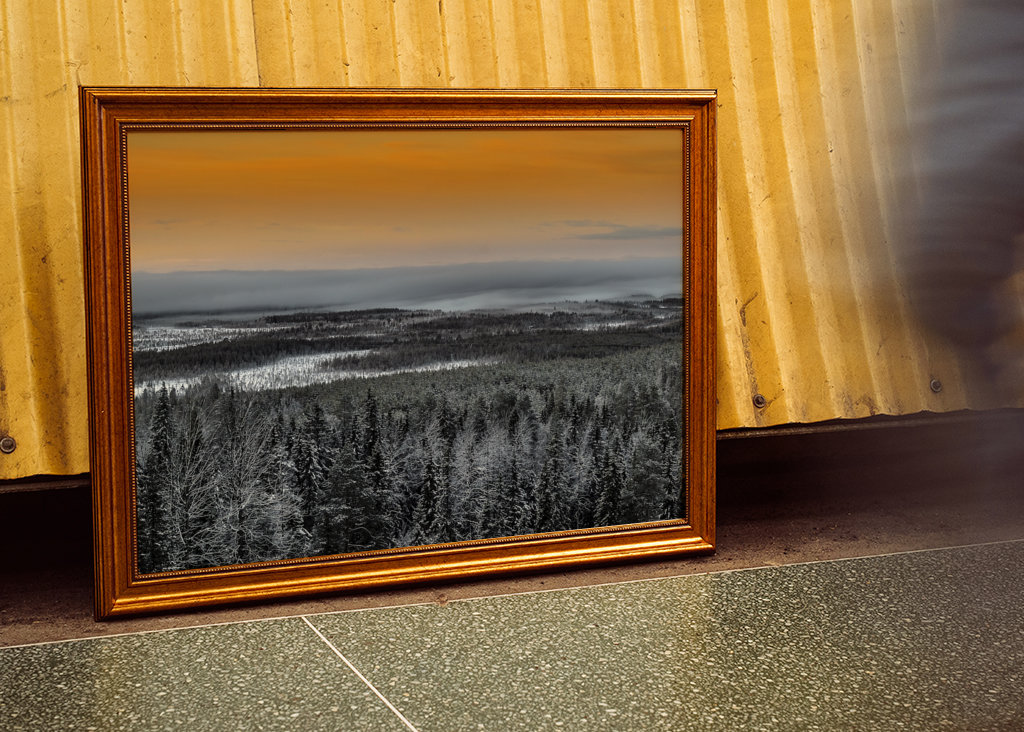 Zimní lesní krajina