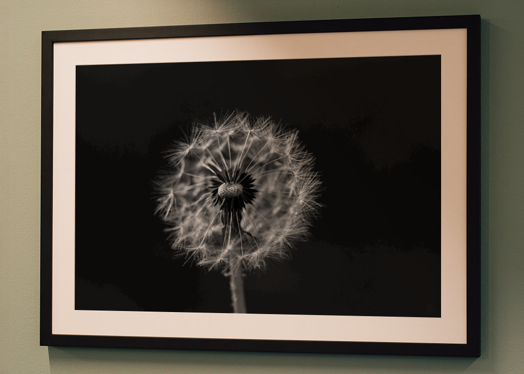 Feu d’artifice noir et blanc
