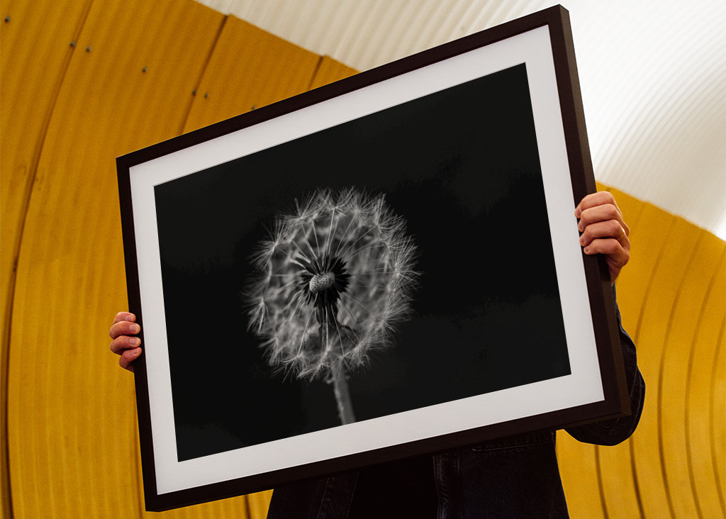 Feu d’artifice noir et blanc