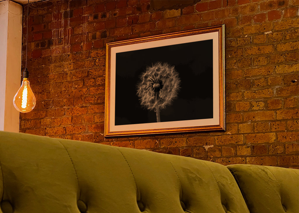 Feu d’artifice noir et blanc