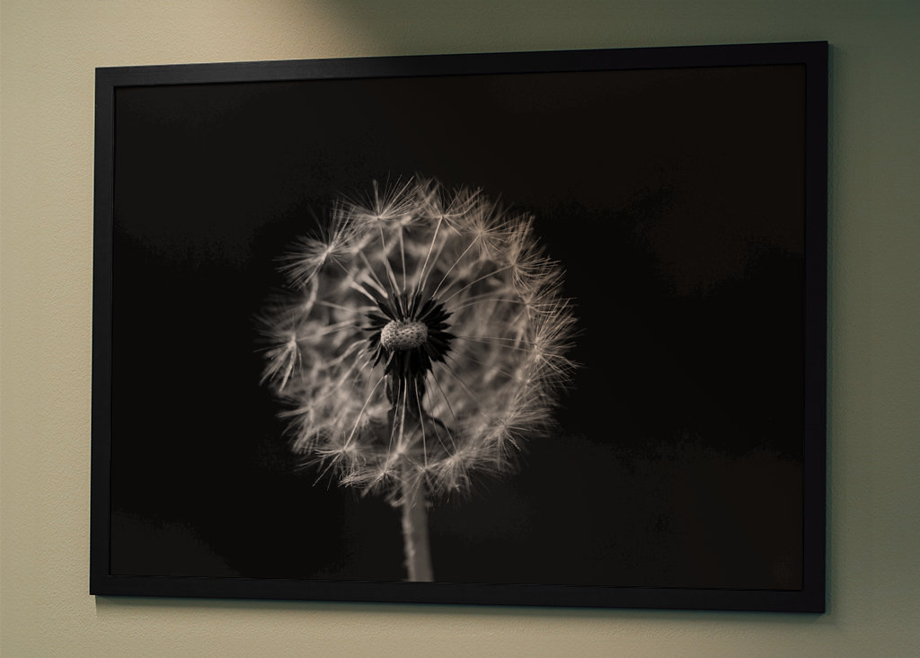 Feu d’artifice noir et blanc