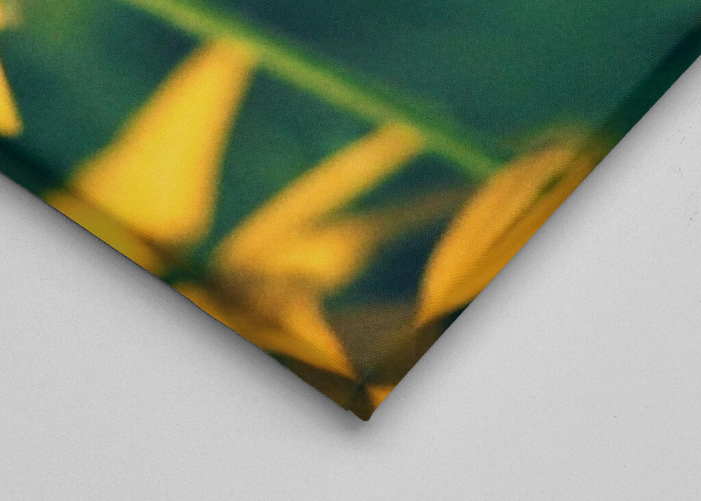 Vad tänker fjärilar på?