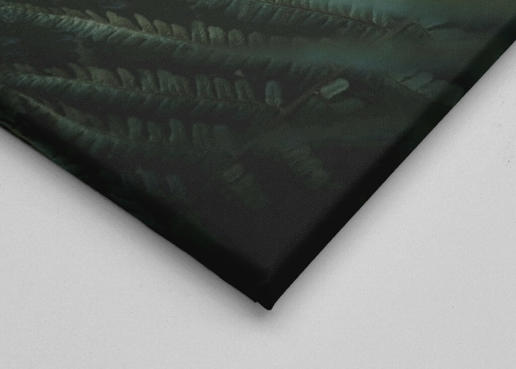 Dans un monde de rêve désordonné 