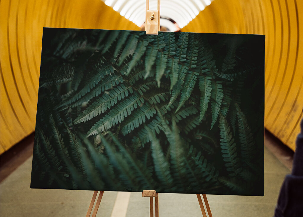 Dans un monde de rêve désordonné 