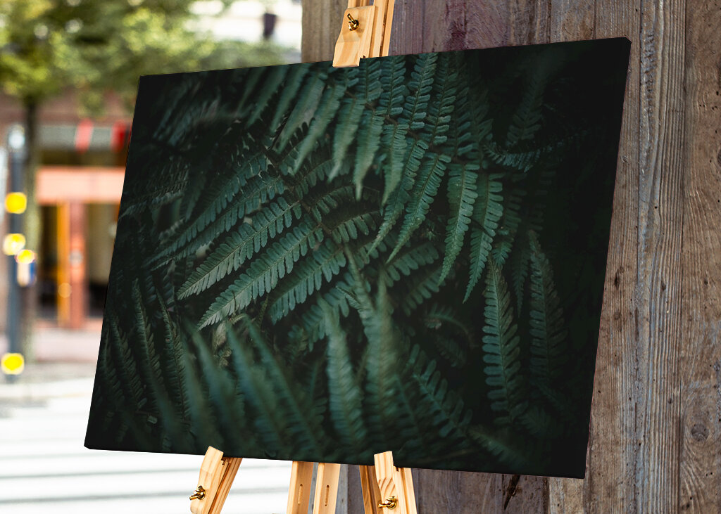 Dans un monde de rêve désordonné 