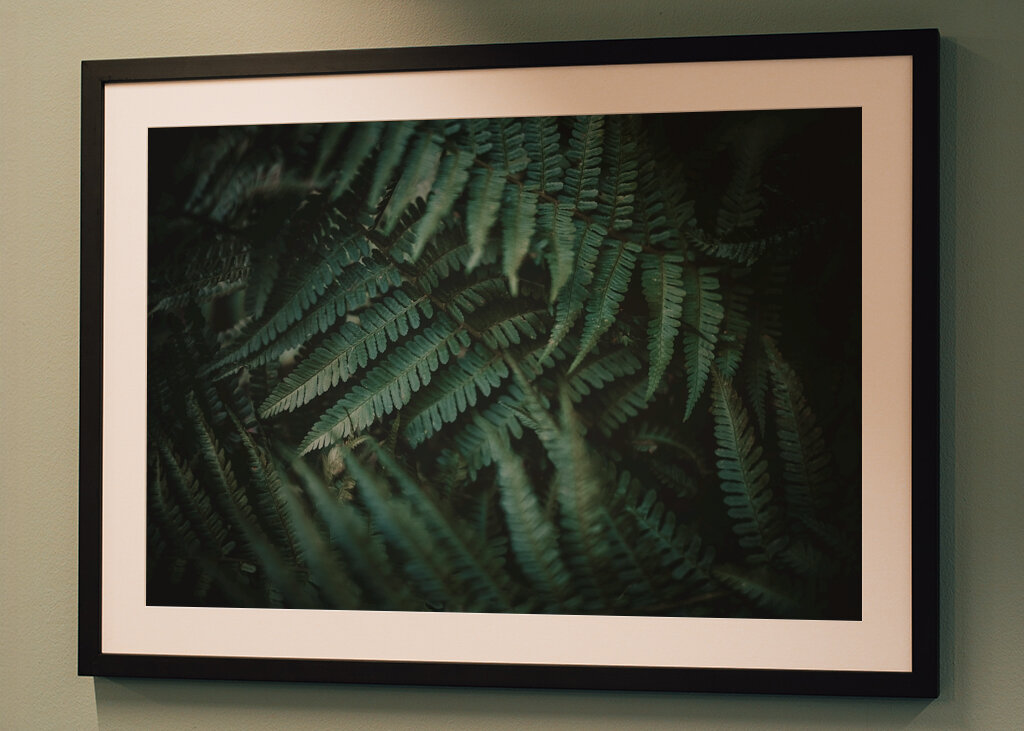 Dans un monde de rêve désordonné 