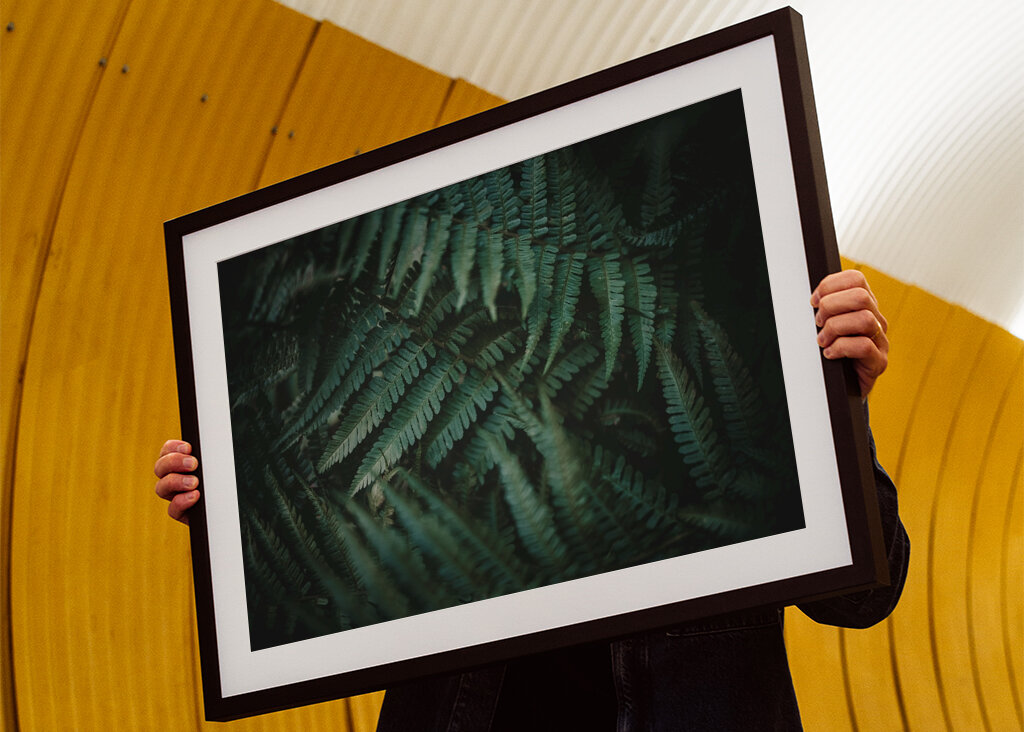 Dans un monde de rêve désordonné 