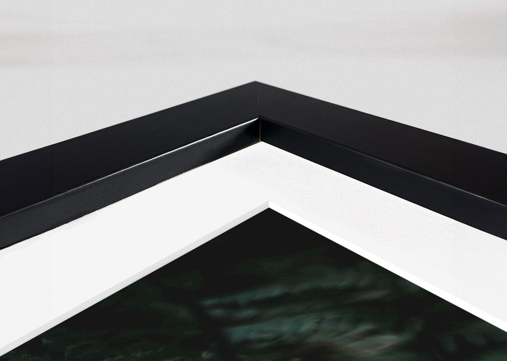 Dans un monde de rêve désordonné 