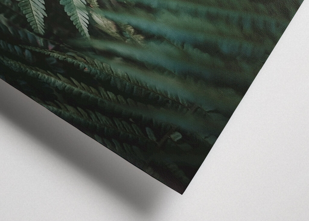 Dans un monde de rêve désordonné 