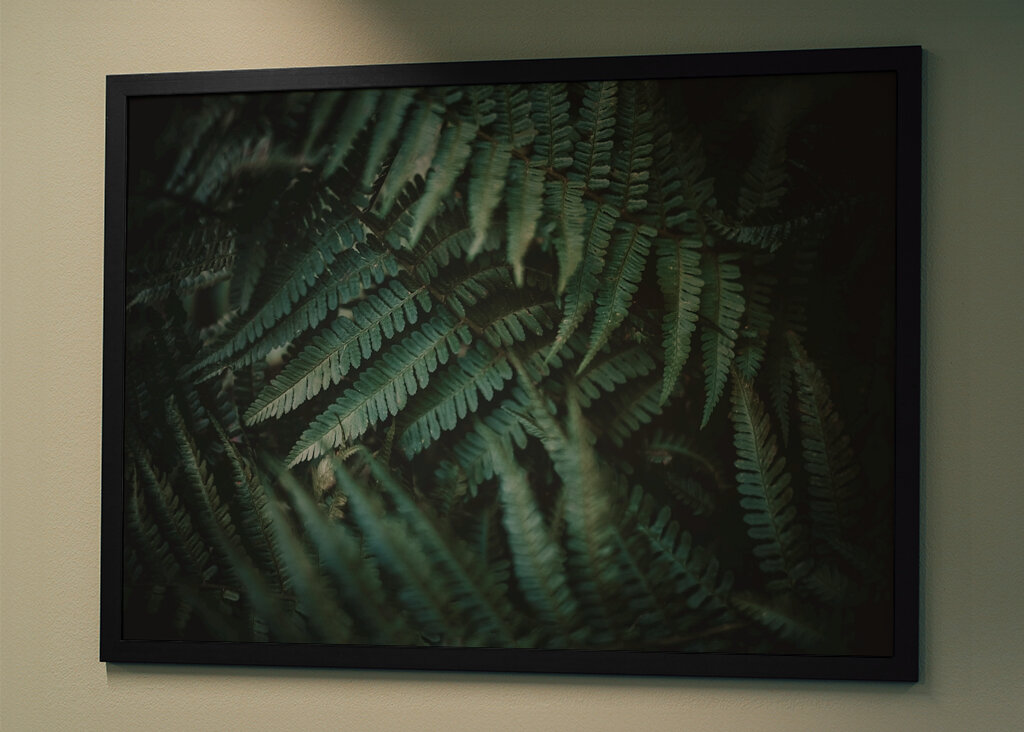 Dans un monde de rêve désordonné 