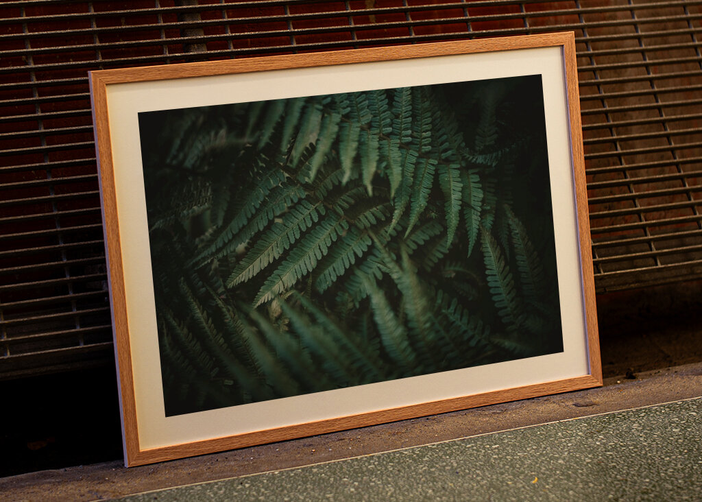 Dans un monde de rêve désordonné 