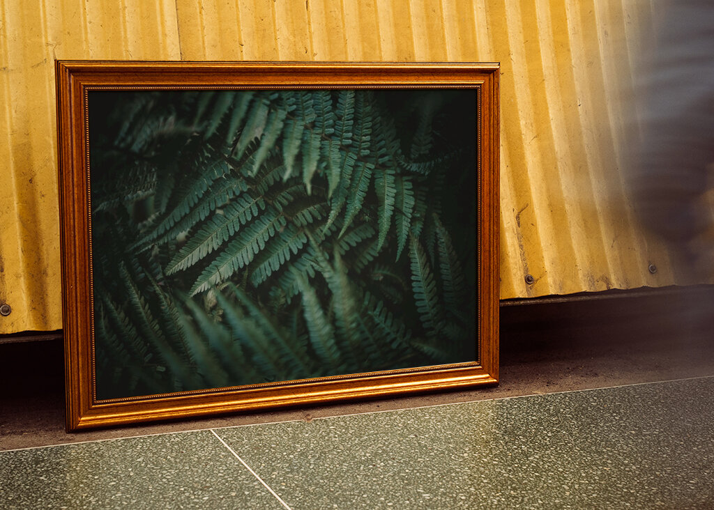 Dans un monde de rêve désordonné 