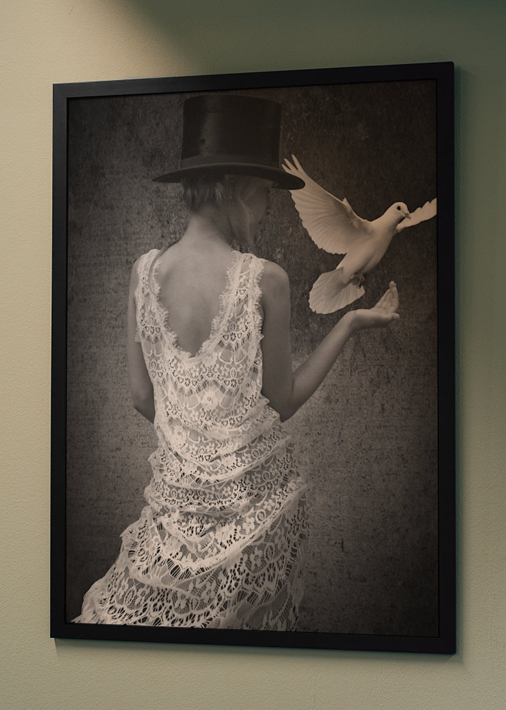 Das Mädchen und die Taube