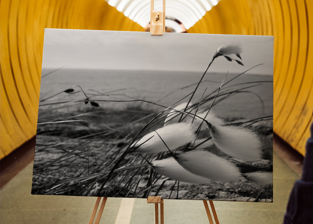 Lã de prado em Näsbokrok