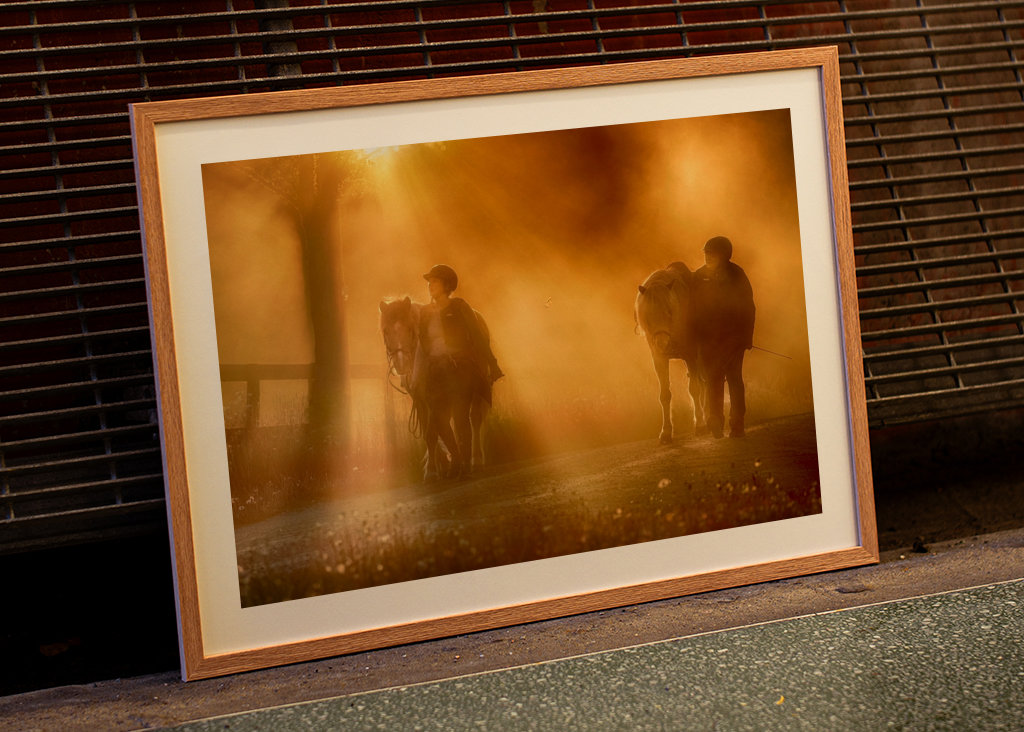 Pferde bei Sonnenuntergang