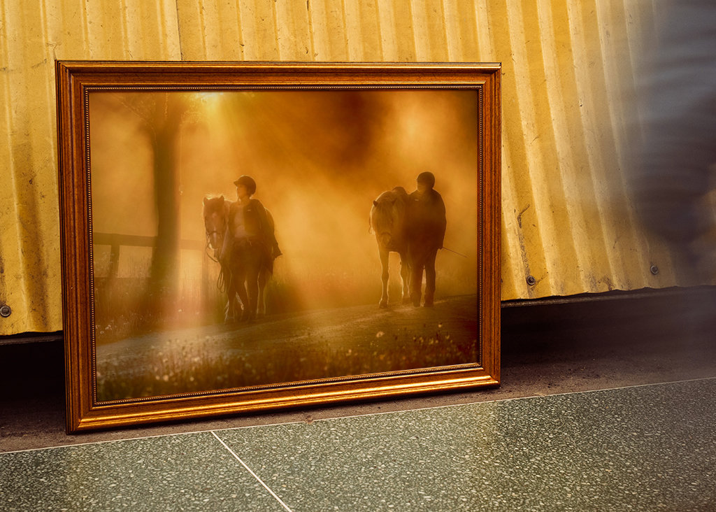 Pferde bei Sonnenuntergang