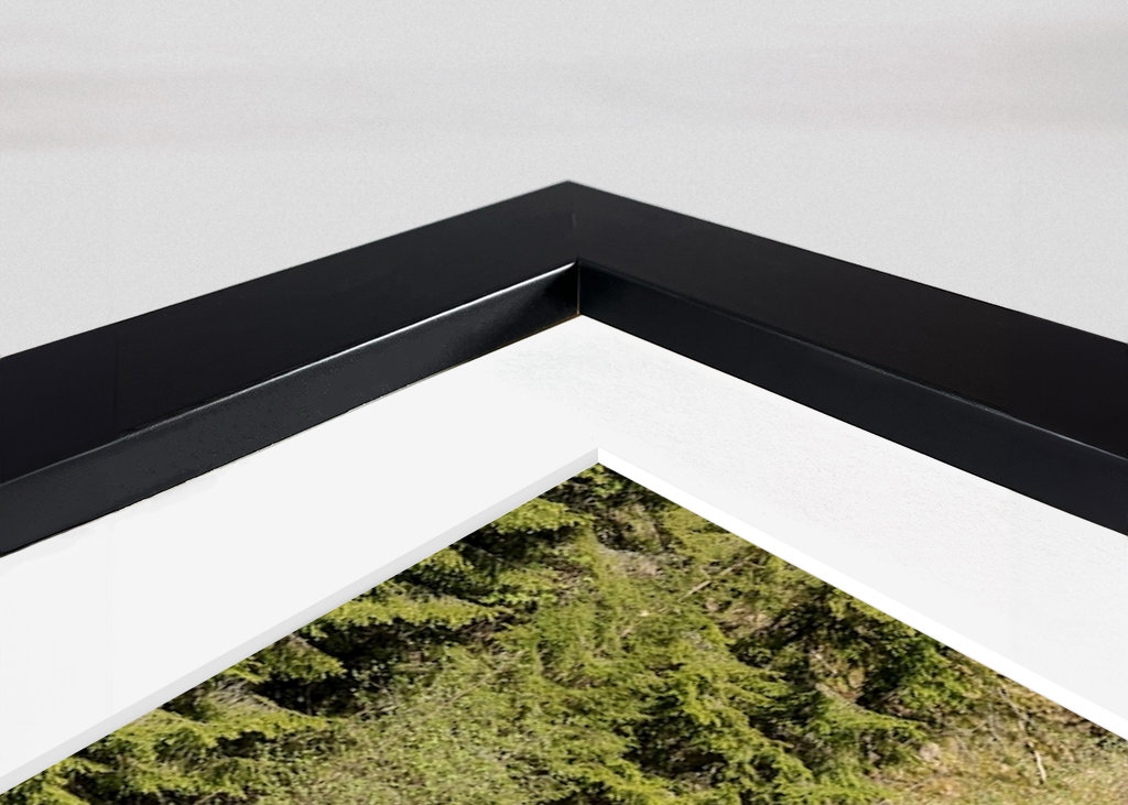 Der Kreis an den Fischteichen