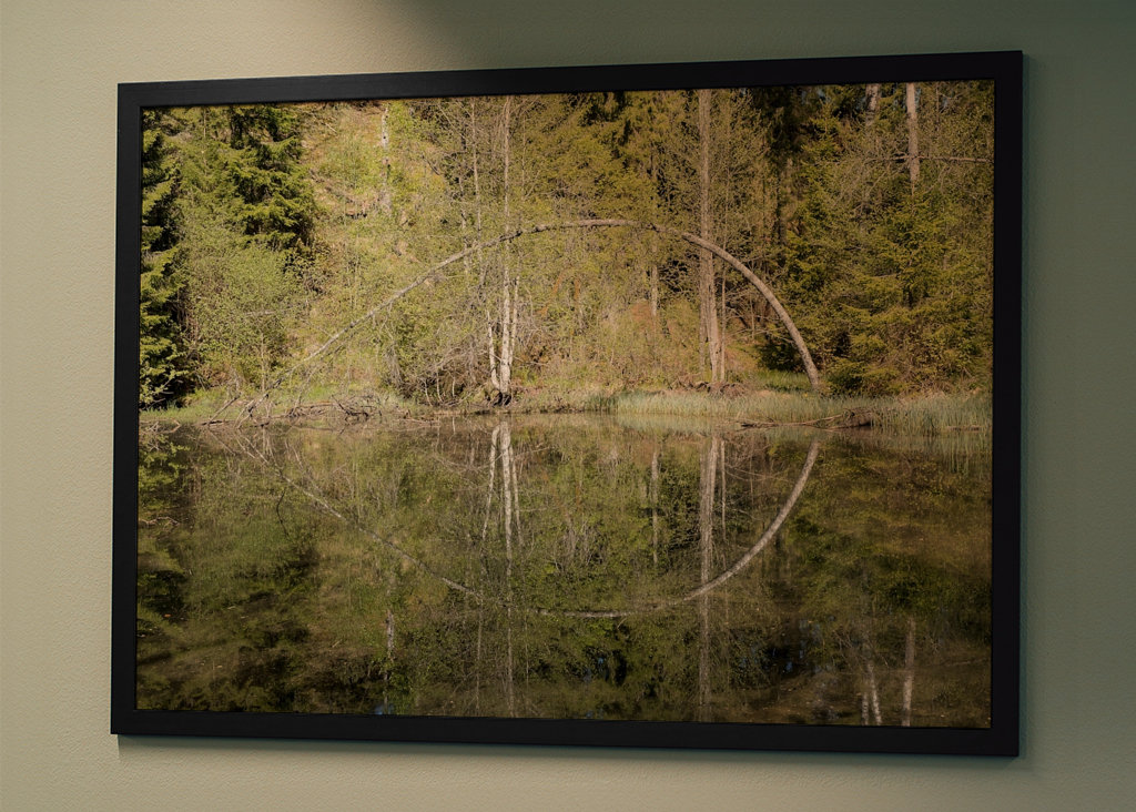 Der Kreis an den Fischteichen