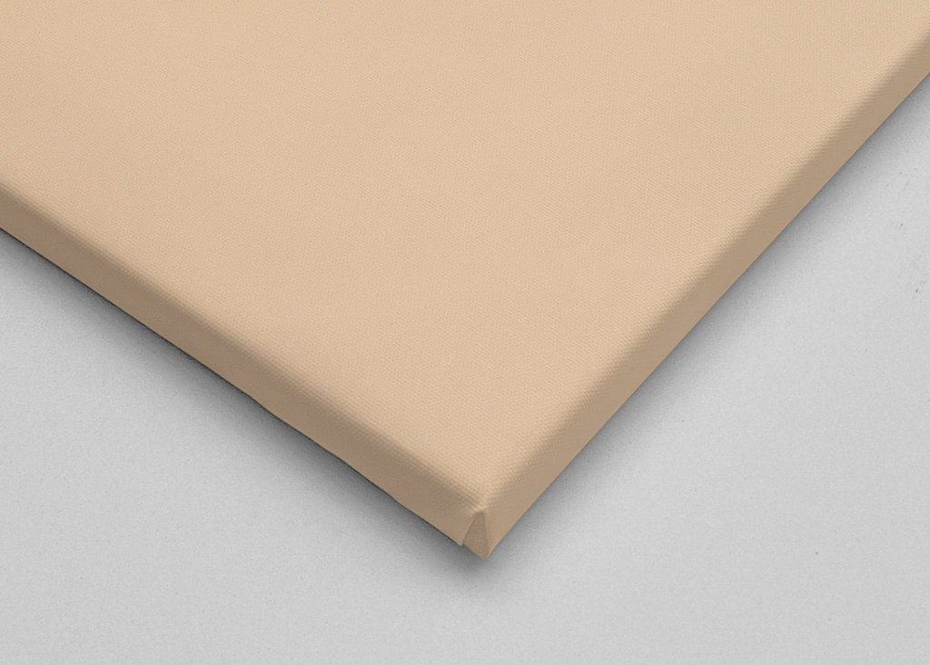 cutest ragdoll kitty ever