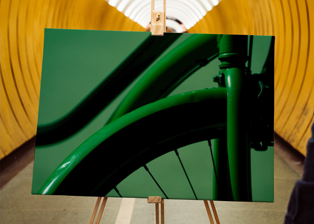 The Green Bike