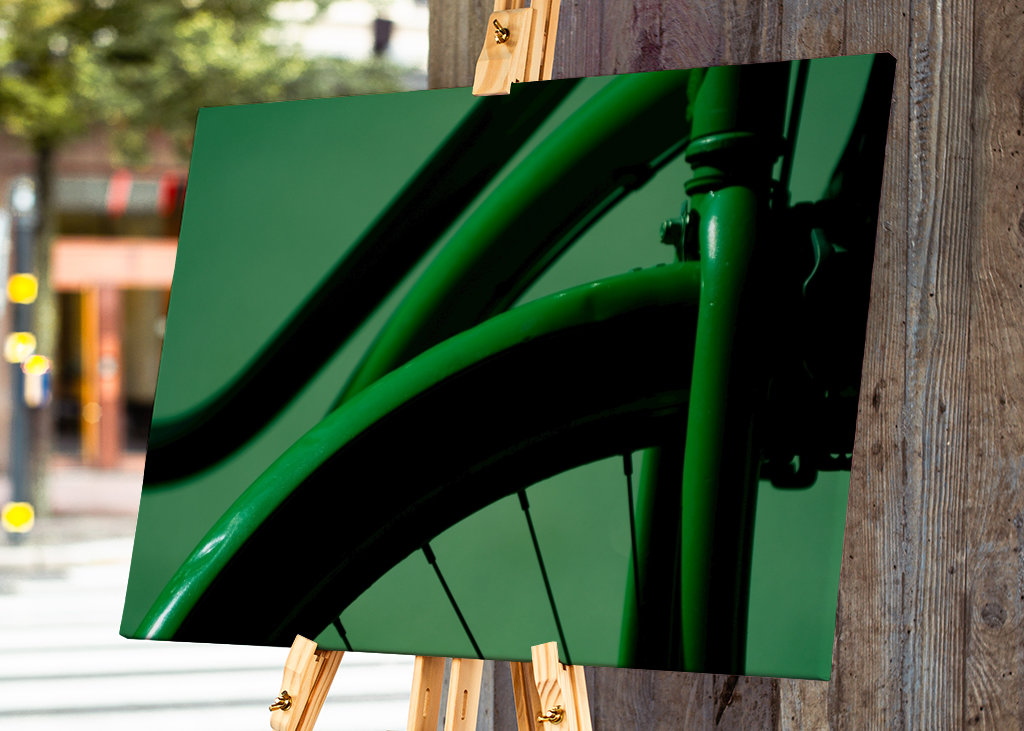 The Green Bike