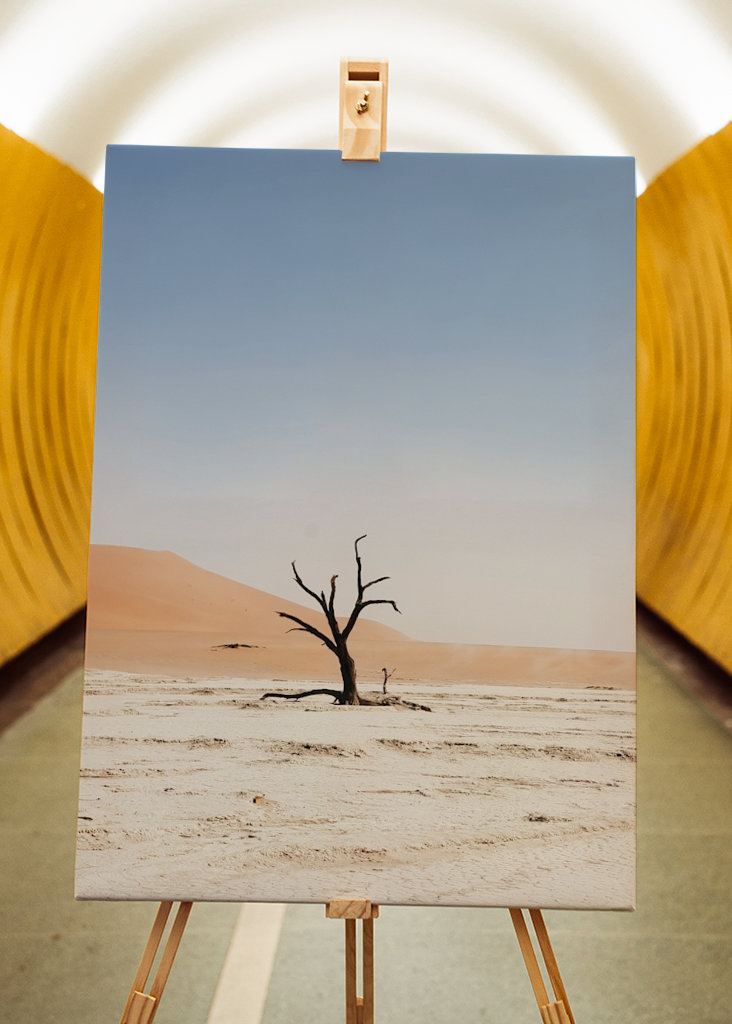 Ośmiornica warzywna