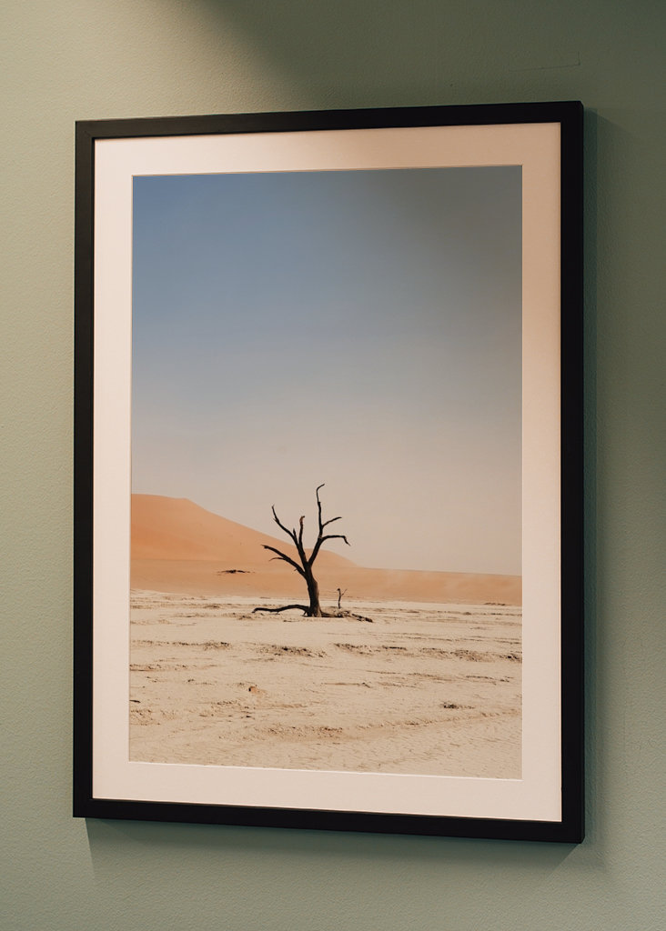 Ośmiornica warzywna