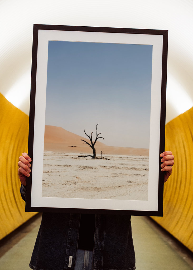 Ośmiornica warzywna