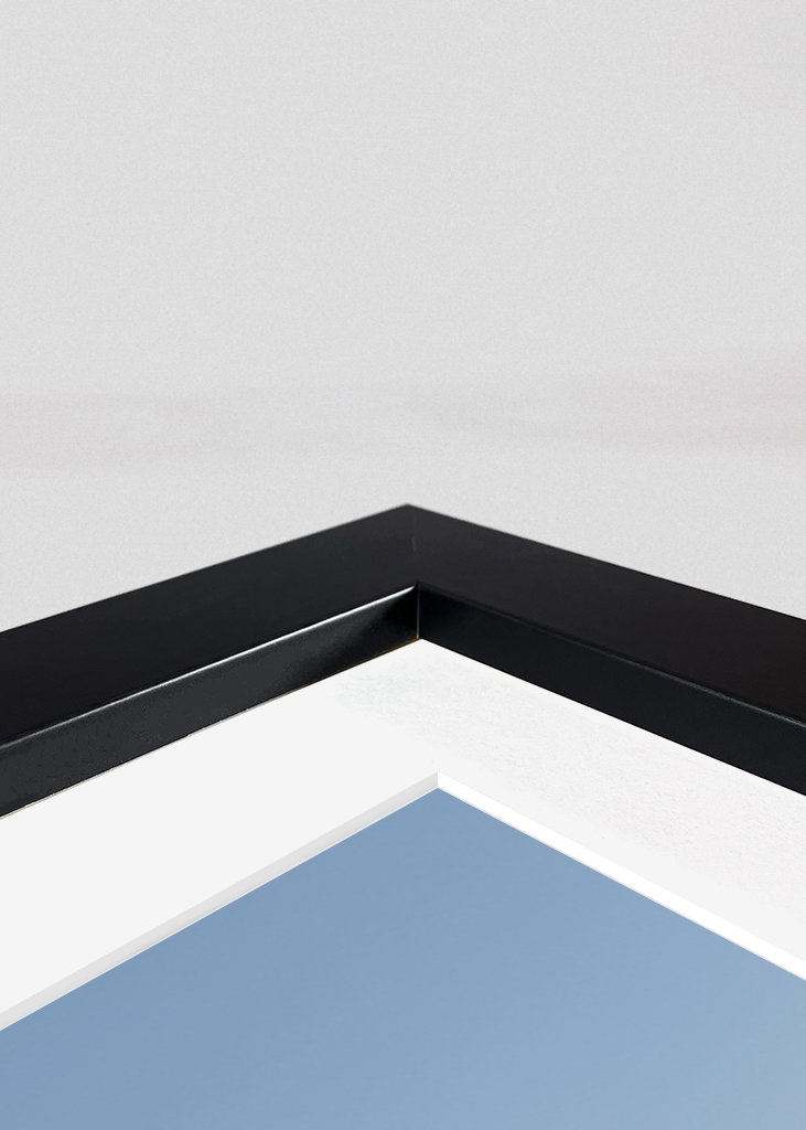 Ośmiornica warzywna