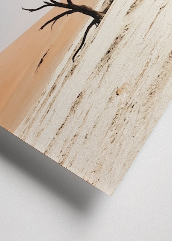 Ośmiornica warzywna