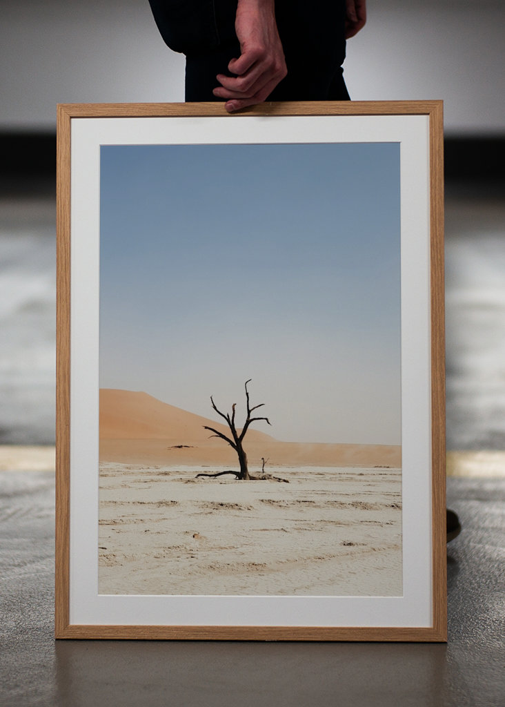 Ośmiornica warzywna