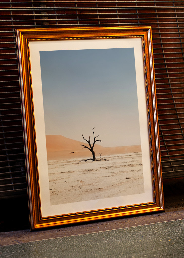 Ośmiornica warzywna