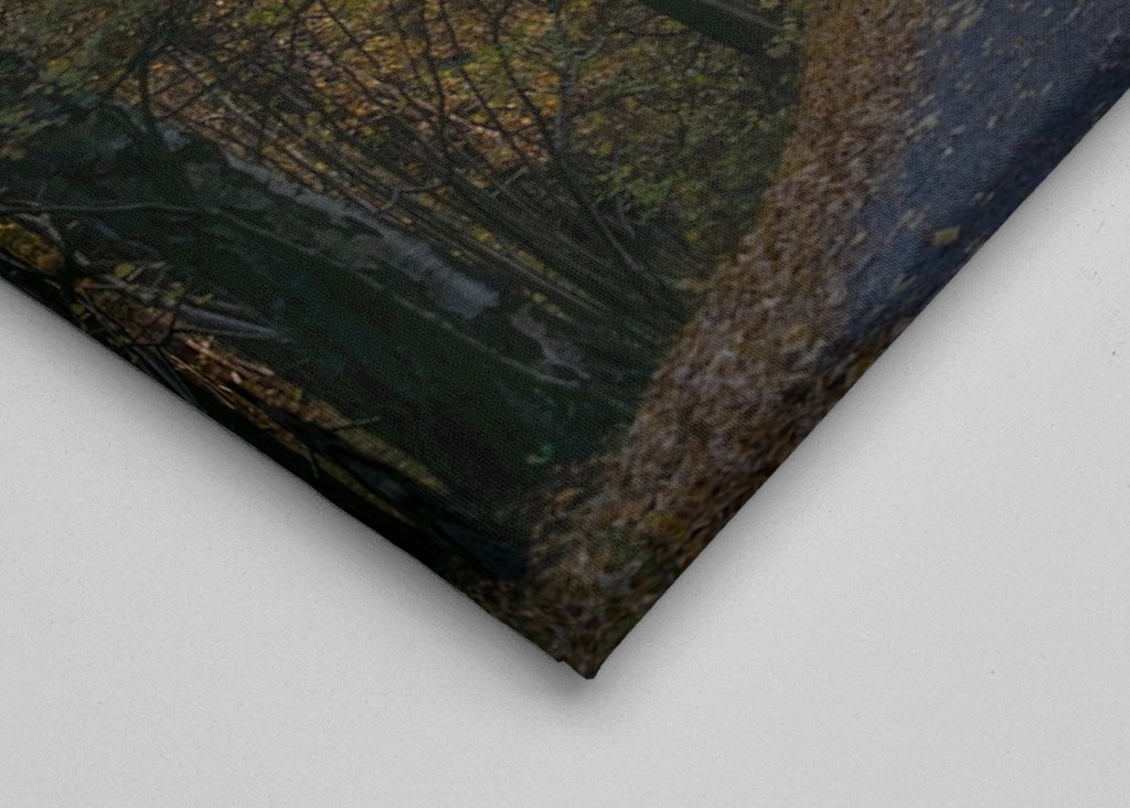  Podzimní procházka