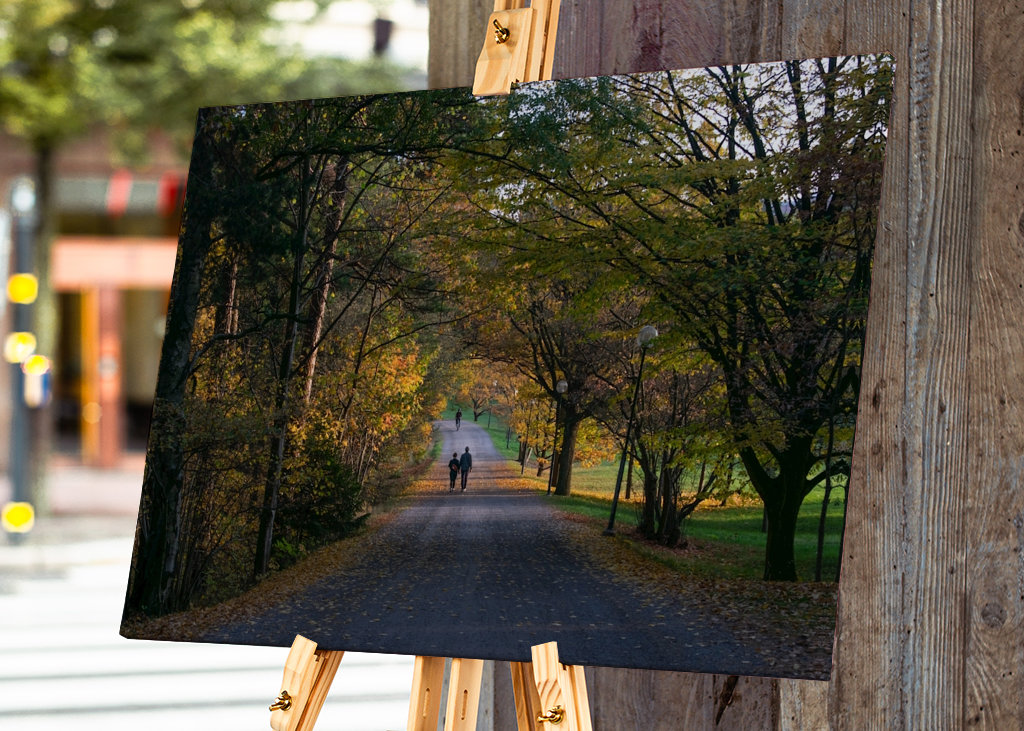  Podzimní procházka