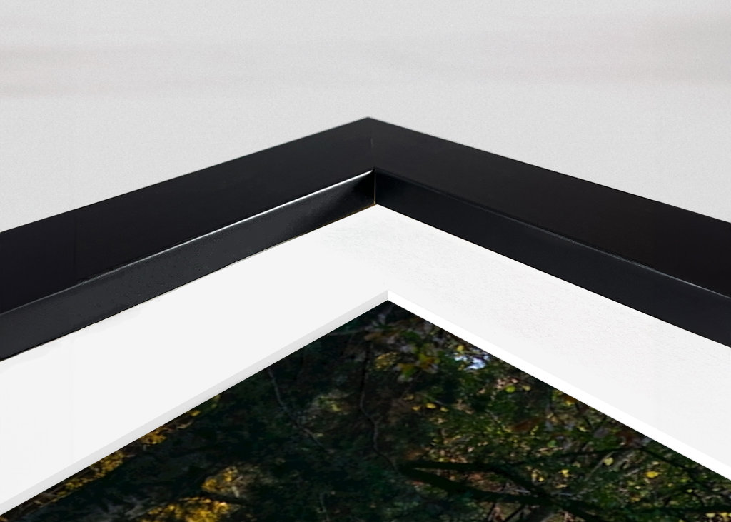  Podzimní procházka